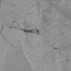 NASA Suomi VIIRS panchromatic image from July 12 2017, confirming the calving.